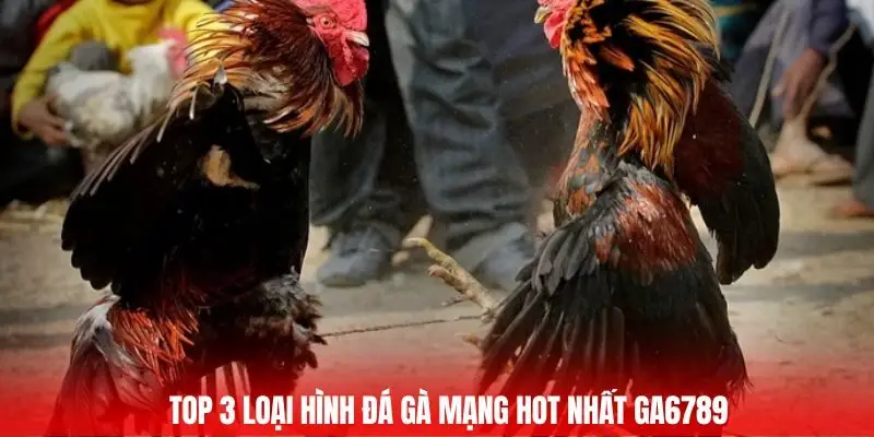 Top 3 loại hình đá gà mạng hot nhất Ga6789
