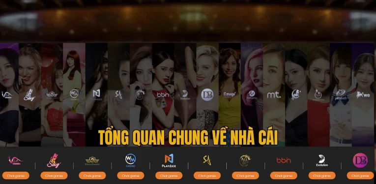 tong-quan-chung-ve-nha-cai